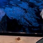 IMG_4027  Yann  Arthus Bertrand 2006